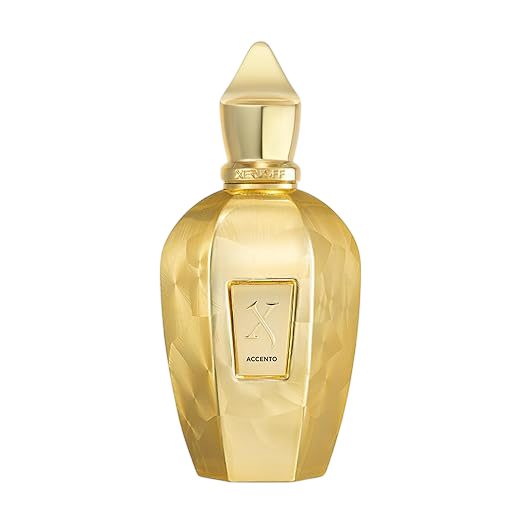 Xerjoff V Accento Overdose – Eau de Parfum Spray 100ml Unisex