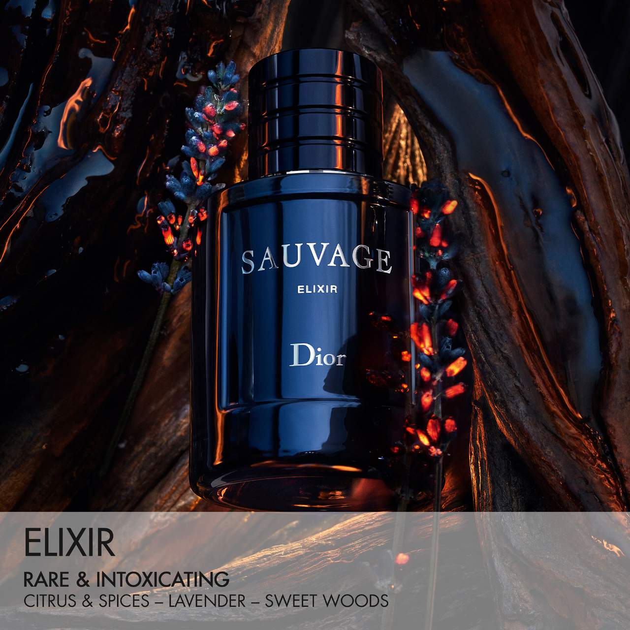 Dior Sauvage Elixir Men 100ml